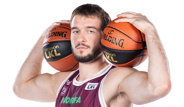 Miloš Ilič